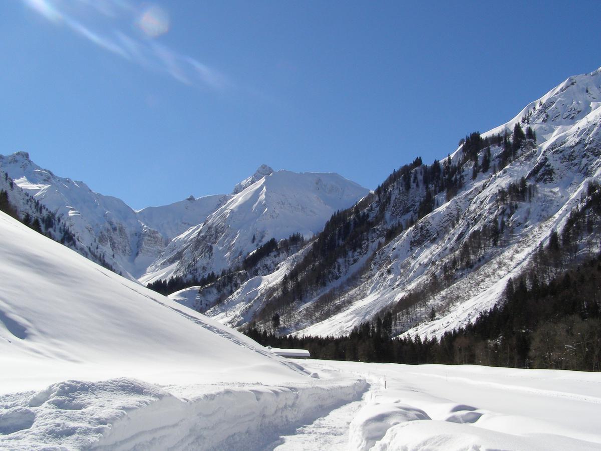 Landhaus Spielmannsau Oberstdorf Esterno foto